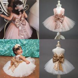 Sets 2018 Fashion Sweet Princess Party Dress Toddler Baby Girls 2 Style Sleeveless Oneck Sequined Floral Solid Lace Tutu Dress 010y