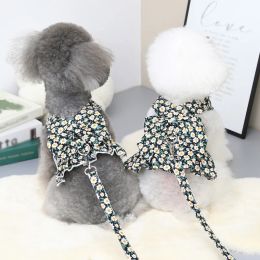 Dresses Summer Small Dog Dress Pet Harness with Breast Strap Traction Rope Cat Dogs Clothes Harness Vest Princess Tutu Dress Skirt