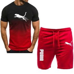 Men's Swimwear 2024 new mens sportswear fitness set running suit casual T-shirt+shorts set breathable jogging sportswear 2-piece set for men d240424