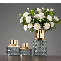 Vases Creative Nordic Gold Glass Vase Transparent Printing Hydroponics Flower Arrangement Home Decorations Expensive