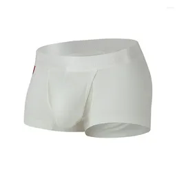 Underpants 2024 Breathable Cueca Boxer Homme Modal Mens Underwear Boxers U Convex Sexy Male Men Gay Panties Shorts