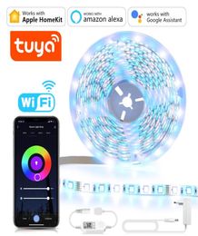 Strips Homekit WiFi LED Strip Light RGBWRGBWW Tuya Smart Life App Control Lights Work With Apple Home Siri Alexa Google Assistant6442866