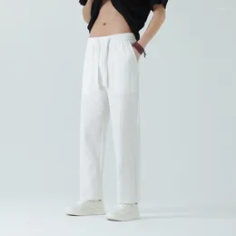 Men's Pants Casual Mens Cotton Linen Straight Leg Long Trousers Spring Summer Men