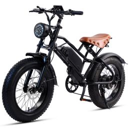 Bicycle FEIVOS W1 Offroad mountain Electric bike 500W Aluminium alloy snow Tyres Electric bicycle 20" Lithium battery e bike