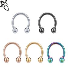 Nose Ring stud Piercing Jewellery body arts fake septum rings nosecuffs Titanium Daith Earrings pin Hoop CZ Hinged Segment Clicker N3222350