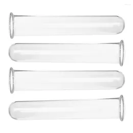 Vases 4 Pcs Hydroponic Vase Test Tubes For Plants Small Terrarium Desk Propagation Station Flower Pots Stand Glass