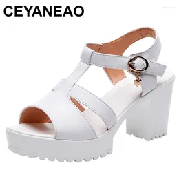 Sandals Genuine Leather Platform Shoes 2024 Summer Block High Heels Gladiator Office Mom