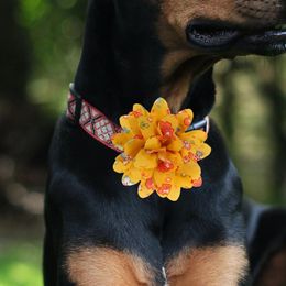 Dog Apparel 10 Pcs Bow Cat Collar Ornament Puppy Pet Flowers Grooming Accessories Decor Decoration Decorative Supplies