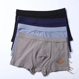 Underpants Men's Underwear Pure Cotton Letters Epoxy Mid-waist Large Size Boxer Shorts Colour Breathable