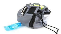 Pet Training Functional Bag Pet Snack Bag Designs TwoInOne Foldable Bag Outdoor Portable Pockets Dog Supplies6749732