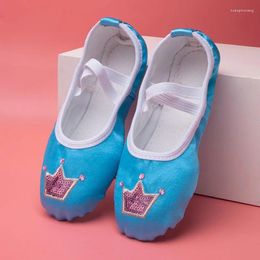 Dance Shoes Wholesale OEM Ballet Pink Foldable Flesh Blue Crown For Girls Women High Quality Professional Shoe