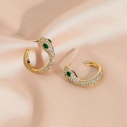 Stud Earrings Crystal Snake For Women Cubic Zirconia Style CZ Cute Animal Trendy Jewellery Gifts