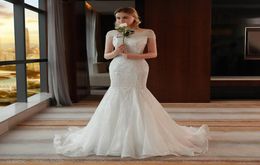 Boutique Mermaid Lace Sheer Wedding Reception Dresses Off Shoulder VNeck Backless Bridal Gowns Appliqued 3939 Plus Size Bride Par6160167