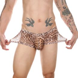 Briefs Panties CLEVER-MENMODE Men Sexy Underwear Boxers Shorts Mesh Sheer Lingerie Ultra Thin Transparent Underpants Penis Pouch Panties Y240425