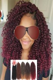 812inch Curly Crochet Braids Heat Resistant Synthetic Braiding Hair Ombre Hair Extensions 60 strandspack7525325