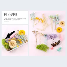 Decorative Flowers Free Gift Butterfly Sexy Lingerie Underwear If You Buy 1 Box Of Dried Mixed Natural For DIY Resin Candle