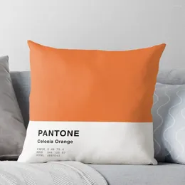 Pillow Celosia Orange Pantone Simple Design Throw Child Decorative Case Autumn Decoration Plaid Sofa