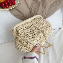 Summer Designer Shoulder Crossbody Bag Straw Weaving Clutch Purse Women Dumpling Crossbody Beach Bag Fashon Cloud Pouch 240422