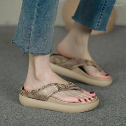 Slippers European And American Style Thick Soled Sandals Women Wear Net Red Fashionable Flip-flops Sponge Bottom Half