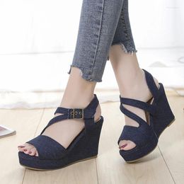 Sandals Women Wedges Summer Blue Platform Casual Shoes High Heel Sandalias