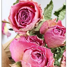 Decorative Flowers Single Head Rose Natural Dried Flower 10 Heads/Lot Wedding Home Easter Decoration Valentine's Day Present