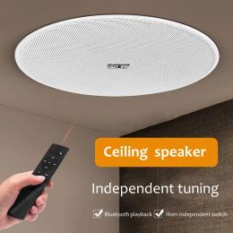 Speakers 3D Stereo Sound Wireless Bluetooth Ceiling Speakers for Large Power Home Theatre Boombox With Remote Control 220V Power Supply