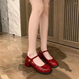 Dress Shoes Spring Thick Heel Single Retro Simple Round Toe Stripe High JK Mary Jane