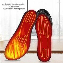 Carpets 1Pair Heated Insoles Unisex Electric Shoe For Men Women USB Rechargeable Winter Warm Insole Heating Pads Dropship