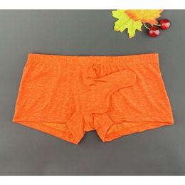 Mens Luxury Underwear Underpants Boxer Briefs Elephant Nose Low Waist Sexy Slim-Fitting Cool Comfortable Breathable Men Pants Strong Male Drawers Kecks Thong PC7F