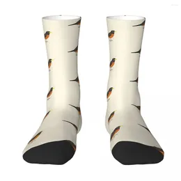 Men's Socks Robin Illustration Sock Men Women Polyester Stockings Customizable Design