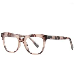 Sunglasses Frames Retro Glasses Frame Women Cat Eye Eyeglasses Large Transparent Clear For Plastic Spring Leg RW2024