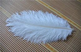 100pcslot 1416inch 3540cm white Ostrich Feathers plumes for wedding centerpiece decor wedding party event supplise6186552