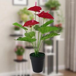 Decorative Flowers Beautiful Plastic Anthurium Flower Green And Red Easy Shaping Home Decor Artificial For Offices