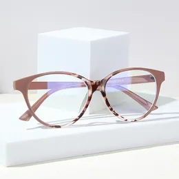 Sunglasses Frames 2024 Women Blue Light Glasses Flexible Optical Prescription Eyewear Men Frame Female Computer Eyeglasses Ladies