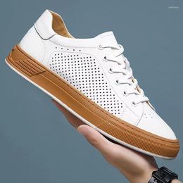 Casual Shoes Board Men 2024 Summer Low-top Leather Punching Sports Small White