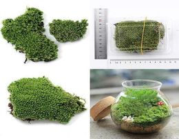 Home Party Decoration Artificial Green Grass Moss Plant Ornament Miniature Artificial Plants C190413025077211