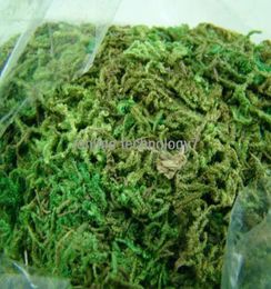 Whole300g BULK Bag of Dried Artificial Reindeer Moss for Flowers Hanging Baskets Lining5893951