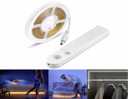 5V USB Motion Sensor LED Strip Light Waterproof Flexible LED Tape Diode 1m2m3m Stripe for Closet Stairs Kitchen Cabinet9353924