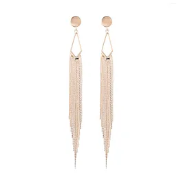 Dangle Earrings Exaggerate Pendant Tassel Alloy Temperament Earring Studs For Banquet Gown Travel Ears Decor