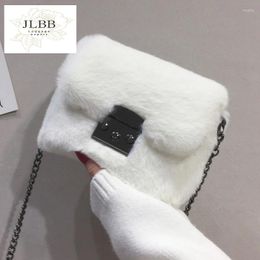 Shoulder Bags SWDF Faux Fur Bag Women 2024 Chain Crossbody Handbag Purse Mini Brand Designer Handbags Fashion Winter