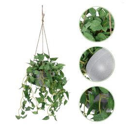 Decorative Flowers Simulated Green Dill Artificial Rattan Pendant Delicate Fake Vines Outdoors Indoor Rope Small Hanging Planters