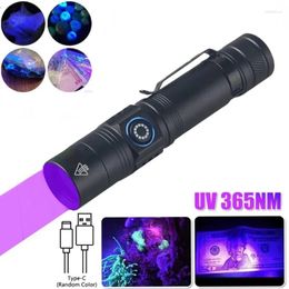 Flashlights Torches 5W UV 365nm USB Rechargeable Filtered LED Ultraviolet Inspection Lamp Pet Pee Urine Rocks Gem Money Detector