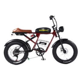 Bicycle Brushless Snow Variable Retro Electric Bicycle For Adults Fat Tire OffRoad Ebike 45KM/H Mountain Ebike Beach Bicycle