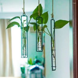 Vases Transparent Hanging Glass Planter Water Iron Art Hydroponic Vase Test Tube Creative Flower Bottle Home Decorative
