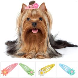 Dog Apparel 20pcs Mini Pet Hair Clips Multiple Colours Cute Cat Flower Hairpins For Daily Party