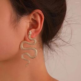 Stud Earrings 2PCS Retro Exaggerated Three-dimensional Snake Female Fashion Punk Geometric Animal Ear Jewellery