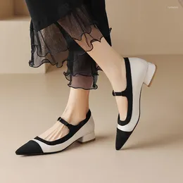 Casual Shoes Phoentin Pointed Toe Woman Summer 2024 Cross Strap Low Heels Patchwork Mixed Colours Pumps Plus Size 42 FT2436