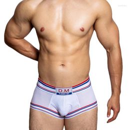 Underpants Men Underwear Briefs Mesh Mens Sexy Bikini Jockstrap Breathable Male Panties Cueca Tanga U Pouch