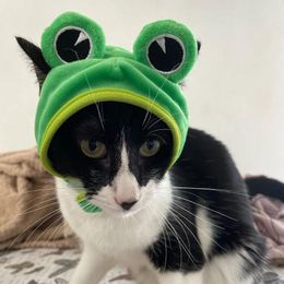 Dog Apparel Funny Cat Hat Pet Costume Cute Frog Crab Cap Kitten Soft Outfit Decoration Puppy Accessory Headwear For Holiday