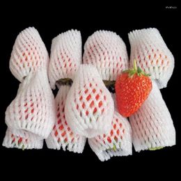 Storage Bags White Fruit Protective Net Cover Shockproof Scalable Elastic Foam Network Tube Packing Apple Orange Transport Protect Mesh Bag